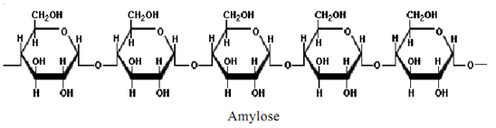 791_Define Starch - Carbohydrates.png